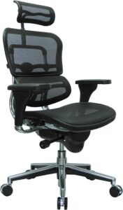 Ergohuman High Back Swivel Chair - Best Ergonomic Mesh Office Chair